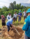 ảnh hướng dẫn trồng cây mắc ca