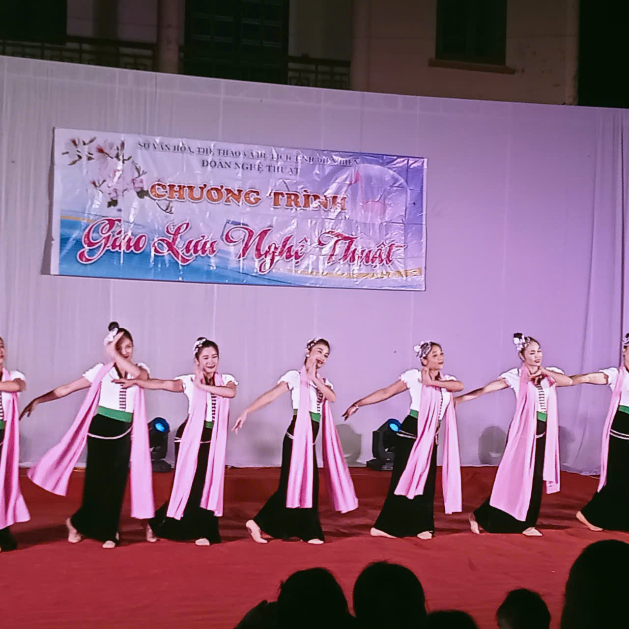 Đoàn nghệ thuật tỉnh Điện Biên